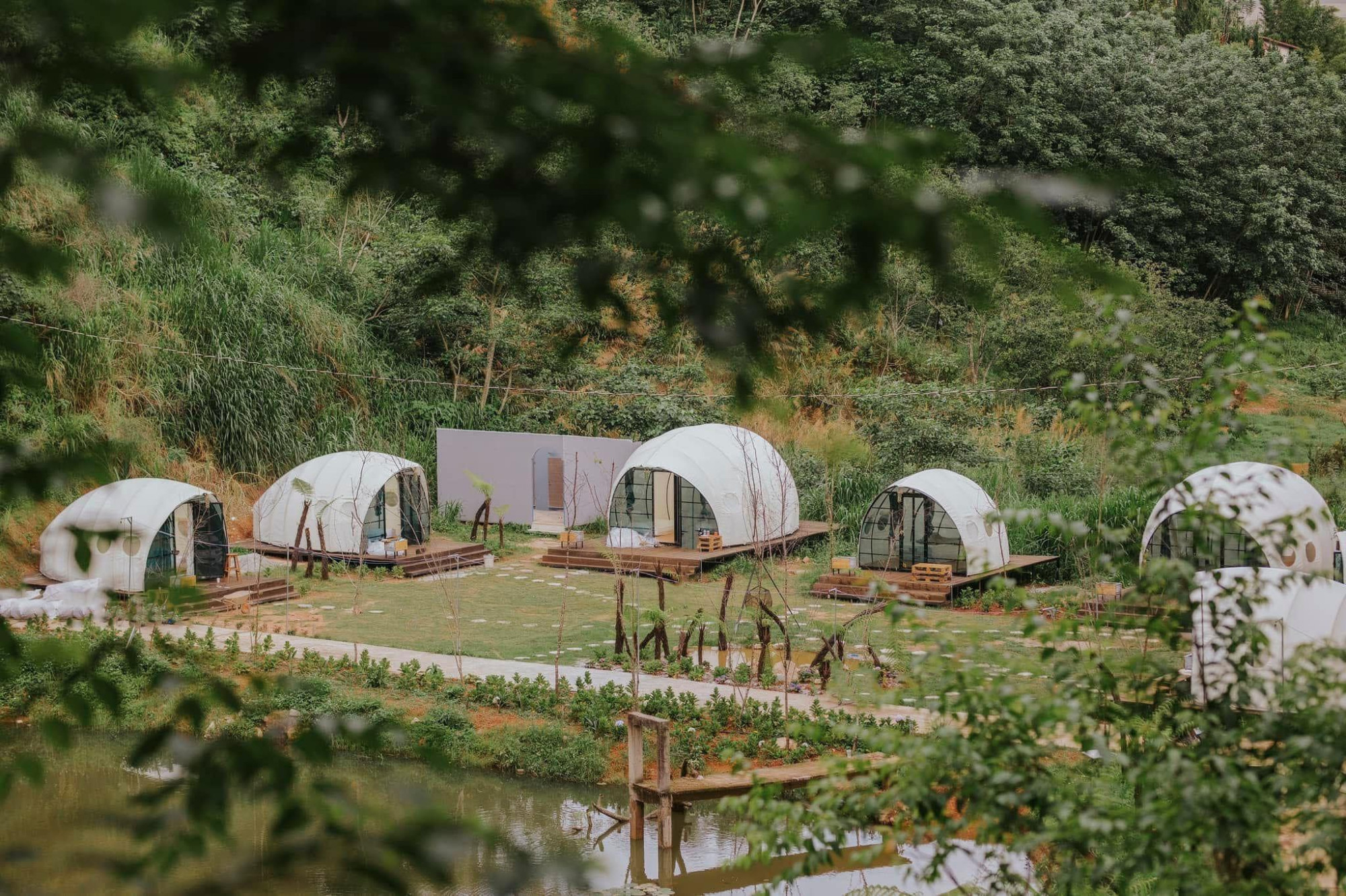 Forest Scent Glamping
